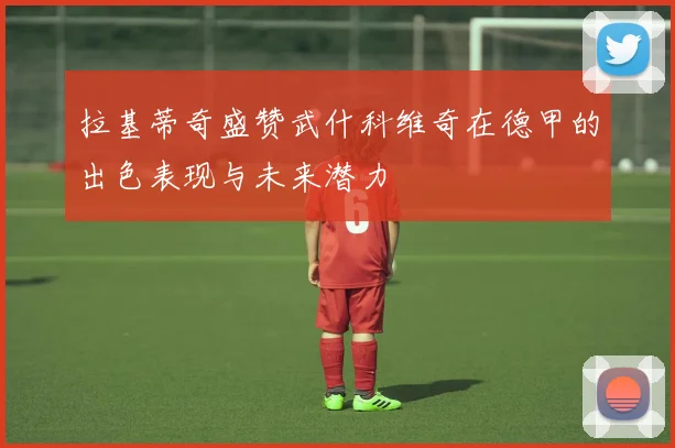 拉基蒂奇盛赞武什科维奇在德甲的出色表现与未来潜力