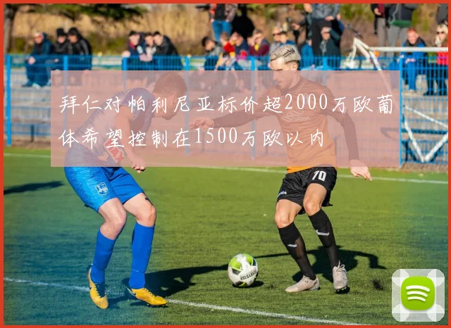 拜仁对帕利尼亚标价超2000万欧葡体希望控制在1500万欧以内